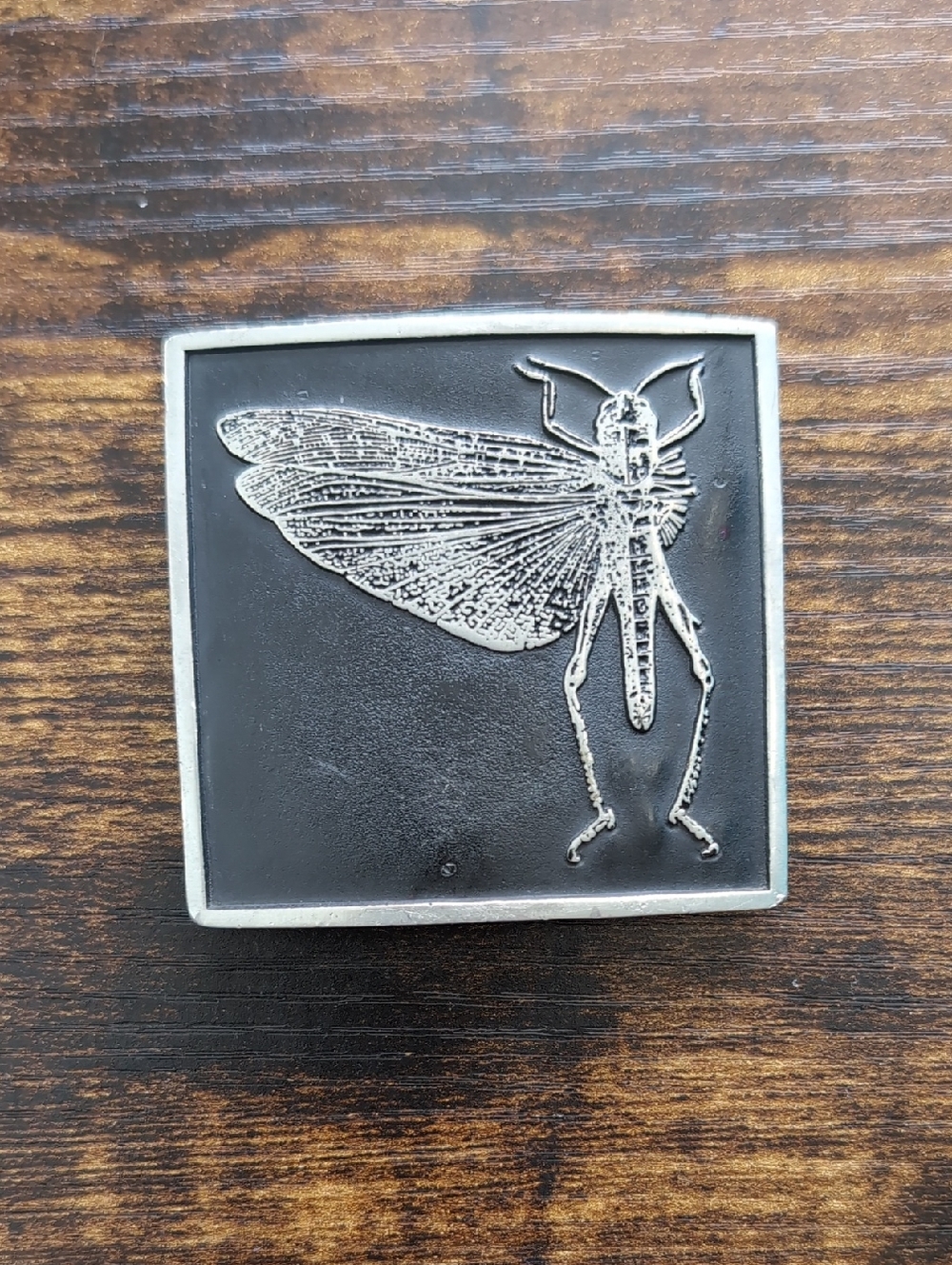 The Locust Vintage Black and Silver Square Belt Buckle